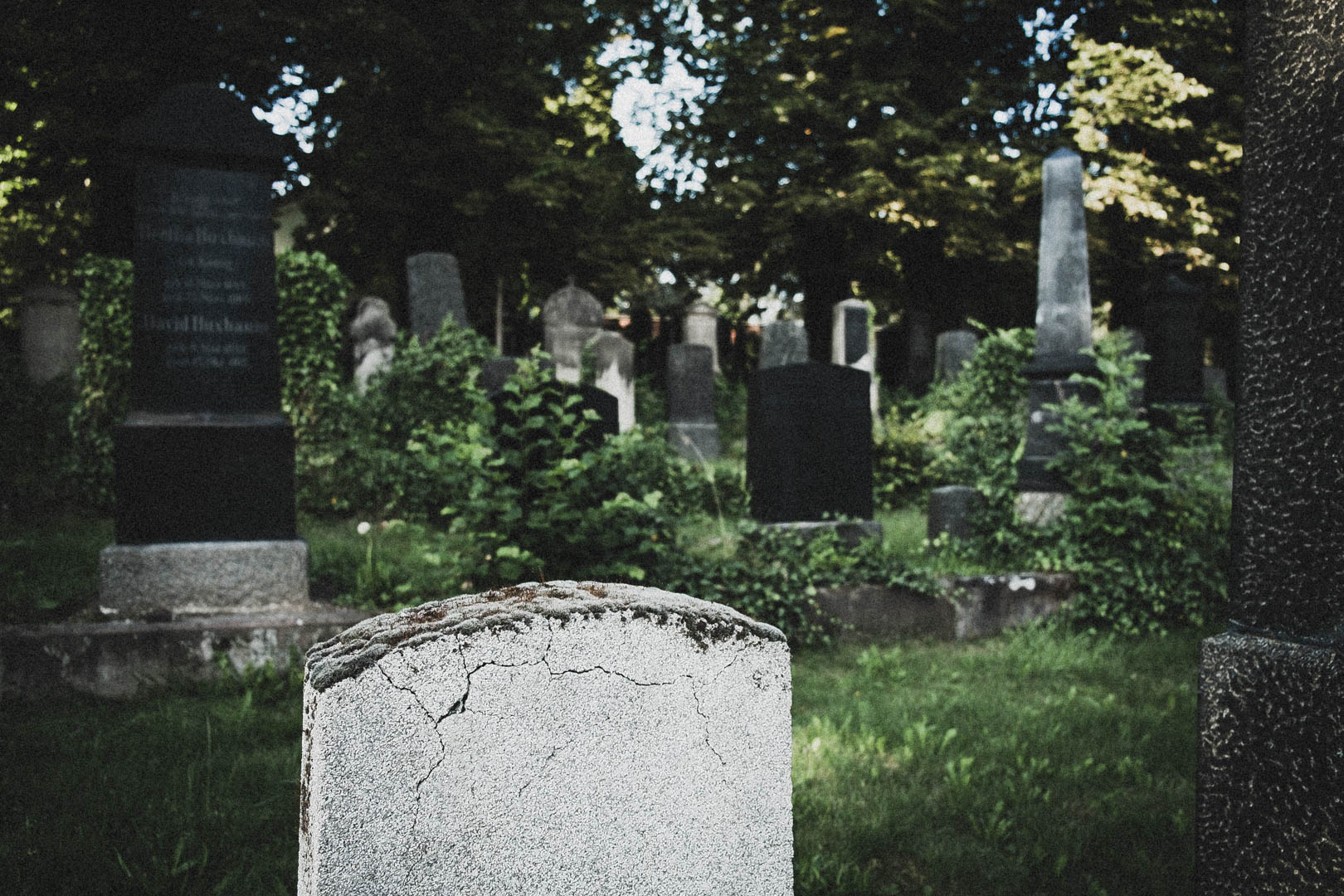 Jüdischer Friedhof Kassel-Bettenhausen